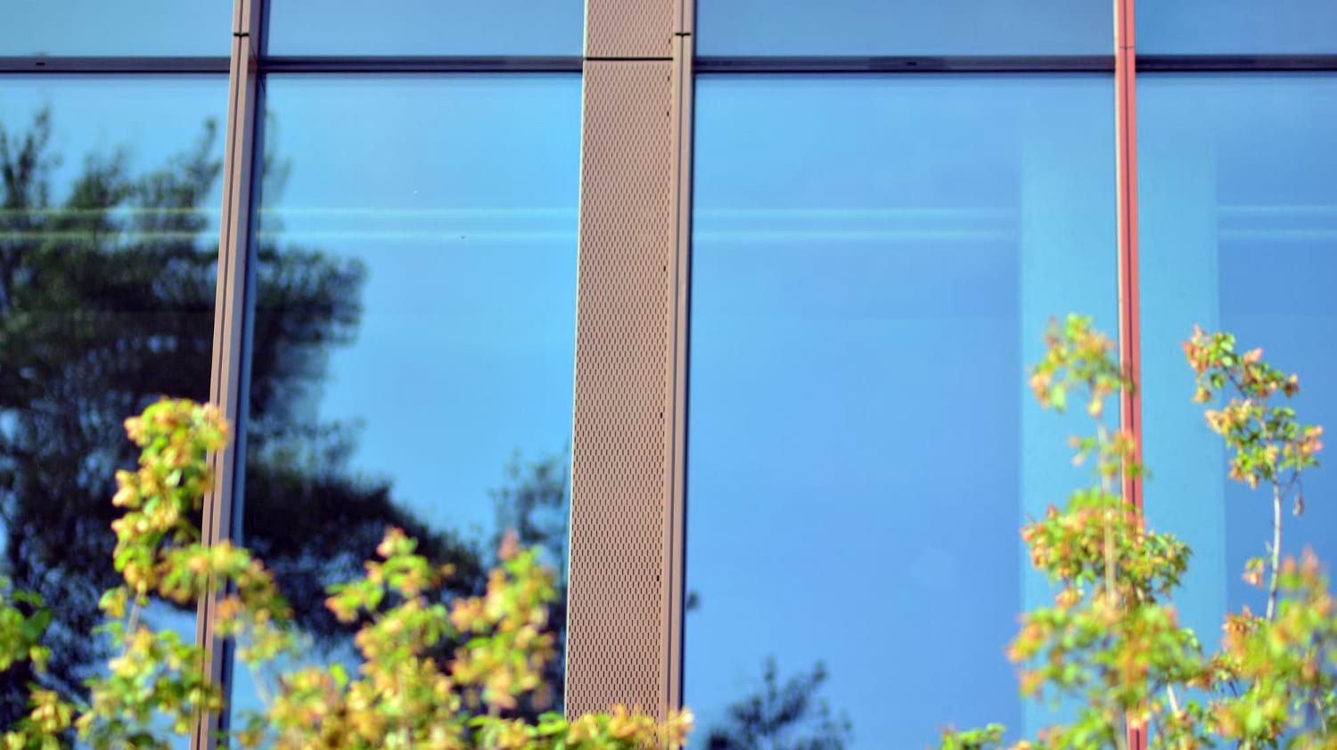 schüco fenster