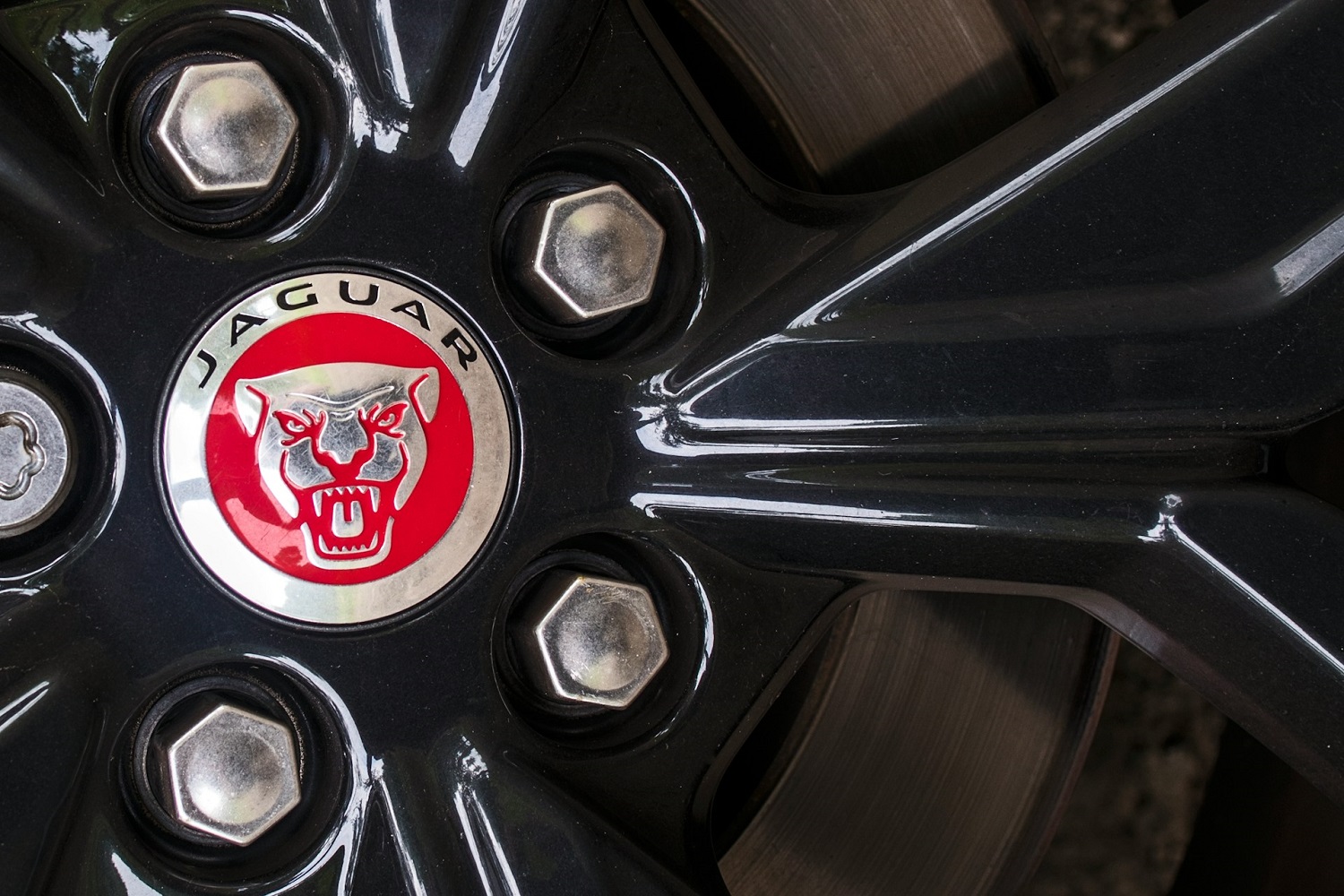 Jaguar Reparatur Service